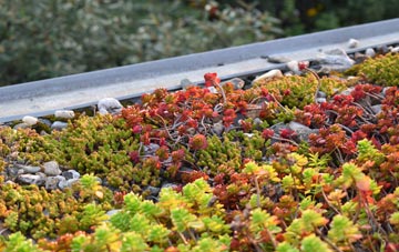 the cost of Shenley Wood green roof installation