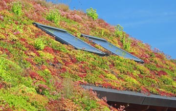 Shenley Wood living roof systems